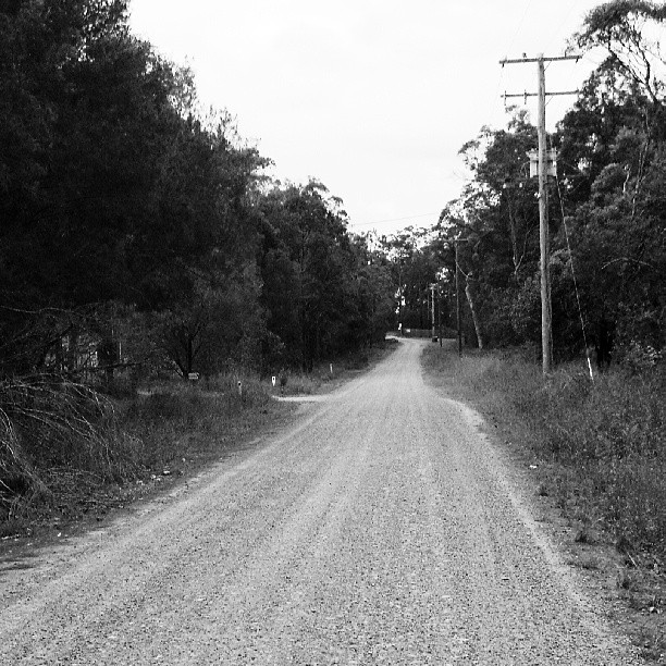 country road in black and white
