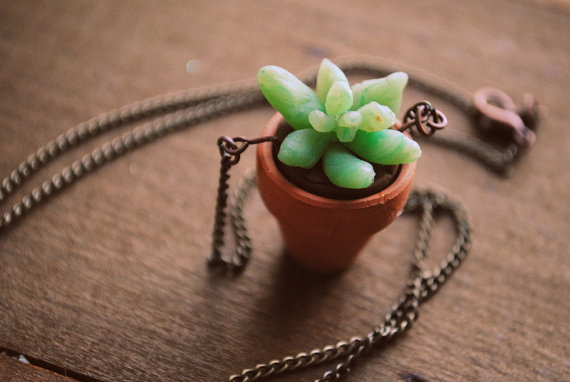 wearable succulent clay planter - succulent pot necklace