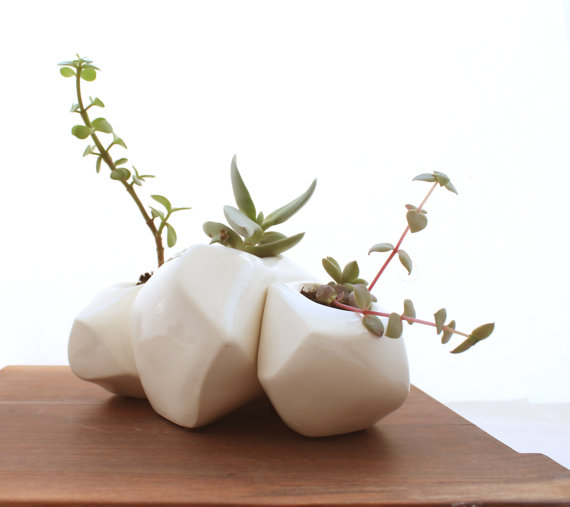 trio of white geometric porcelain succulent planters