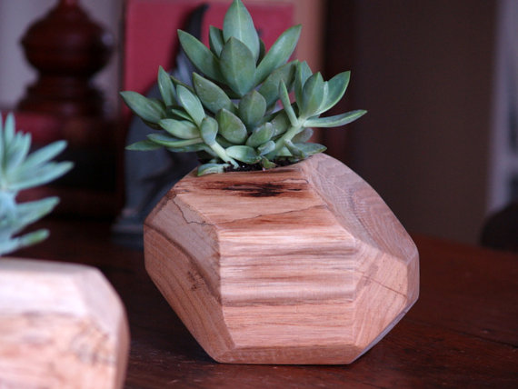 wooden geometric succulent planter