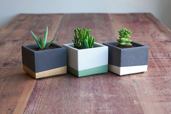 trio of square color block succulent planters