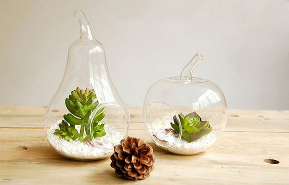 apple and pear glass succulent planter