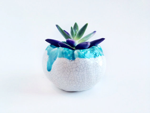 white and blue pottery succulent planter